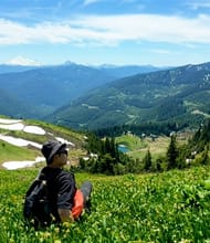 Shuai Peng, REALTOR<sup>®</sup>