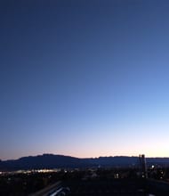 Martin Han, REALTOR<sup>®</sup>