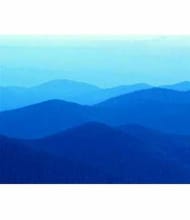 Monica Fong, REALTOR<sup>®</sup>, Personal Real Estate Corporation