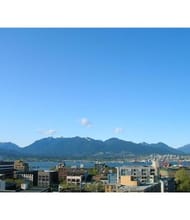 Leana Li, REALTOR<sup>®</sup>