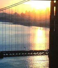 Sara Para, REALTOR<sup>®</sup>