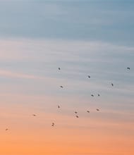 Crystal Hung, REALTOR<sup>®</sup>, Personal Real Estate Corporation