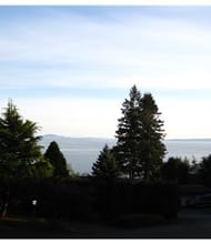 Leo Liu, REALTOR<sup>®</sup>, Personal Real Estate Corporation