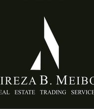 Alireza Meibodi, REALTOR<sup>®</sup>