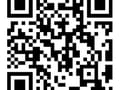 Royal Pacific Lions Gate Realty Ltd., 