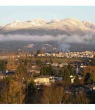 Lincoln Lee, REALTOR<sup>®</sup>