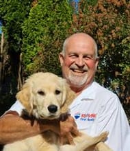 Peter Zimmerman, REALTOR<sup>®</sup>