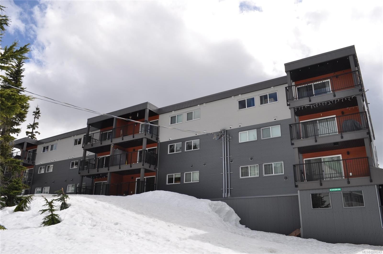 Apartment for sale in Courtenay, 307 695 Castle Crag Cres, 1000243 | Realtylink.org