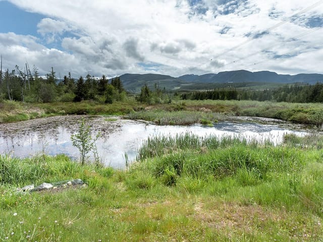 Lot for sale in Whiskey Creek, 3910 Alberni Hwy, 1002390 | Realtylink.org