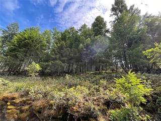 Lot for sale in Mudge Island, Lot 141 Coho Blvd, 1004368 | Realtylink.org