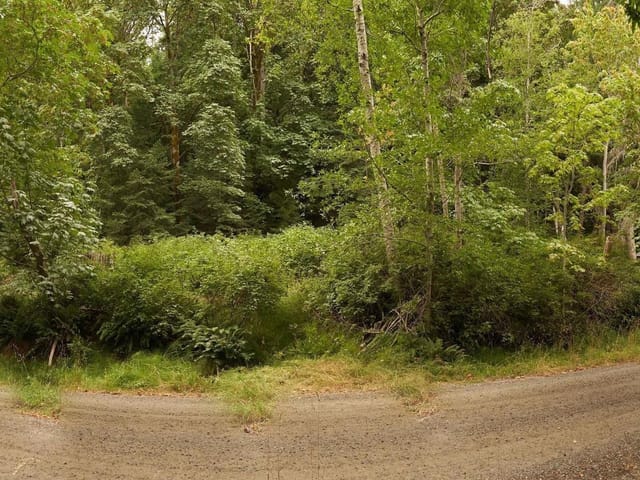 Lot for sale in Gabriola Island, Lot 105 Pequod Cres, 1005069 | Realtylink.org