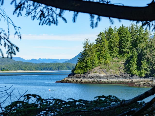 Lot for sale in Tofino, 261 Cedar St, 1005202 | Realtylink.org