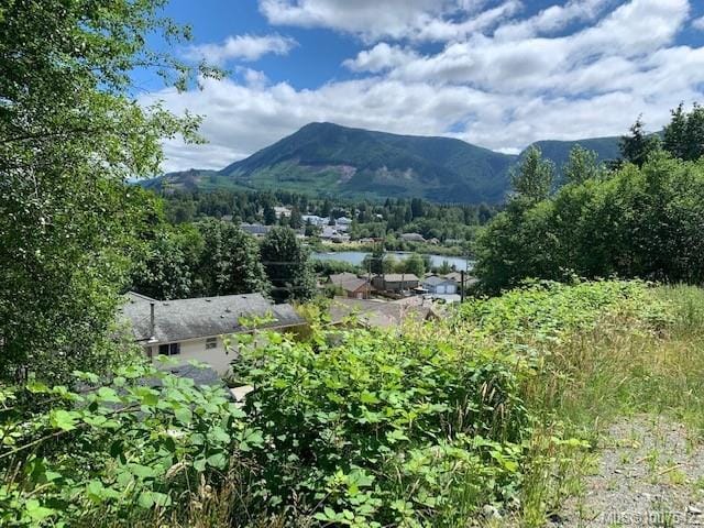Lot for sale in Lake Cowichan, 167 River Rd, 1007542 | Realtylink.org