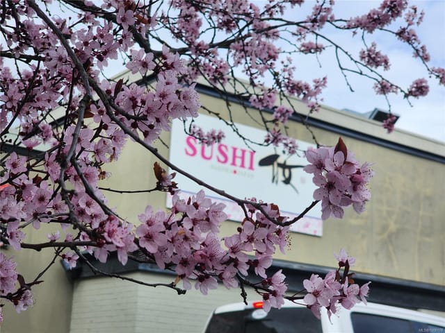 Business for sale in Parksville, 382 Island E Hwy, 1008178 | Realtylink.org