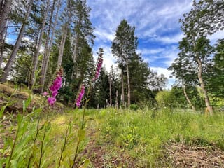 Lot for sale in Gabriola Island, Lt 1 North Rd, 1010636 | Realtylink.org