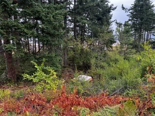 Lot for sale in Comox, Lot 27 Walter Rd, 1010812 | Realtylink.org