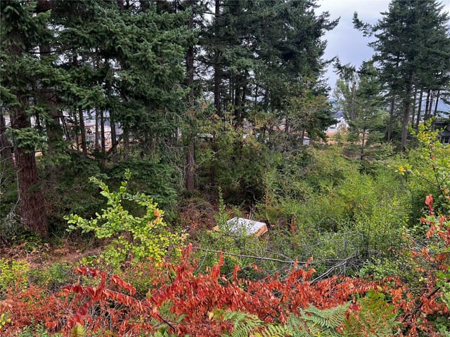 Lot for sale in Comox, Lot 27 Walter Rd, 1010812 | Realtylink.org