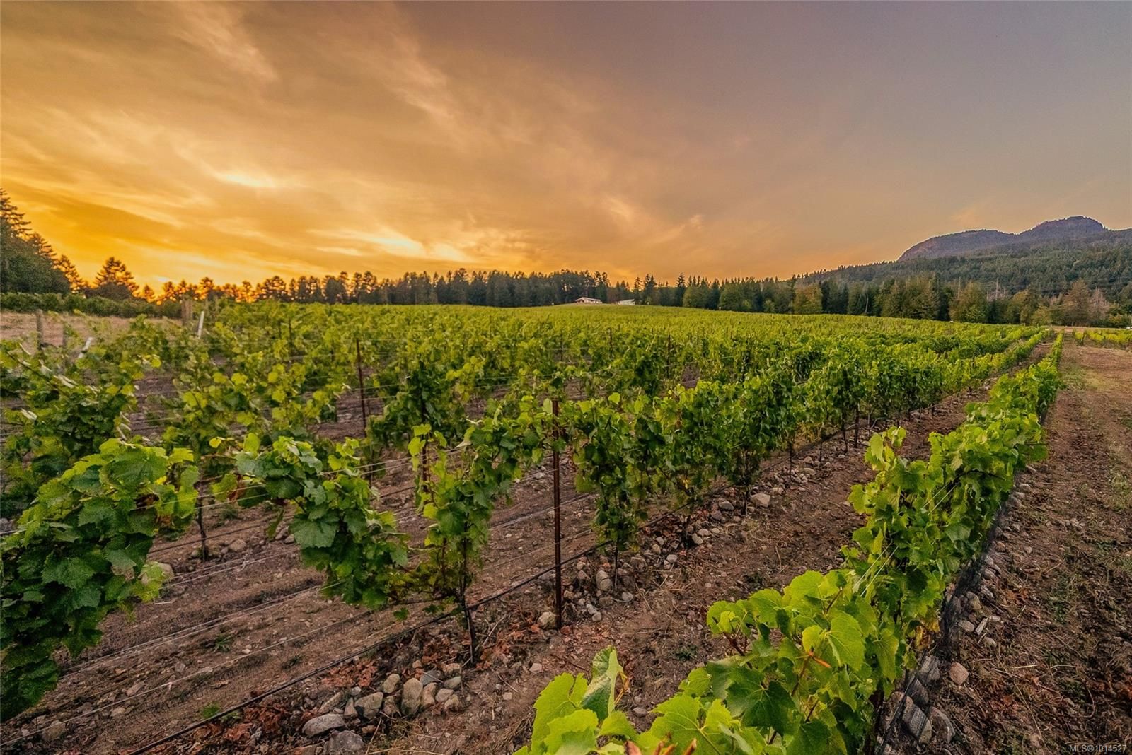 Commercial Land for sale in Duncan, Sl1 North Rd, 1014527 | Realtylink.org