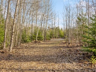 Lot for sale in Coombs, 2745 Shaver Rd, 1015460 | Realtylink.org