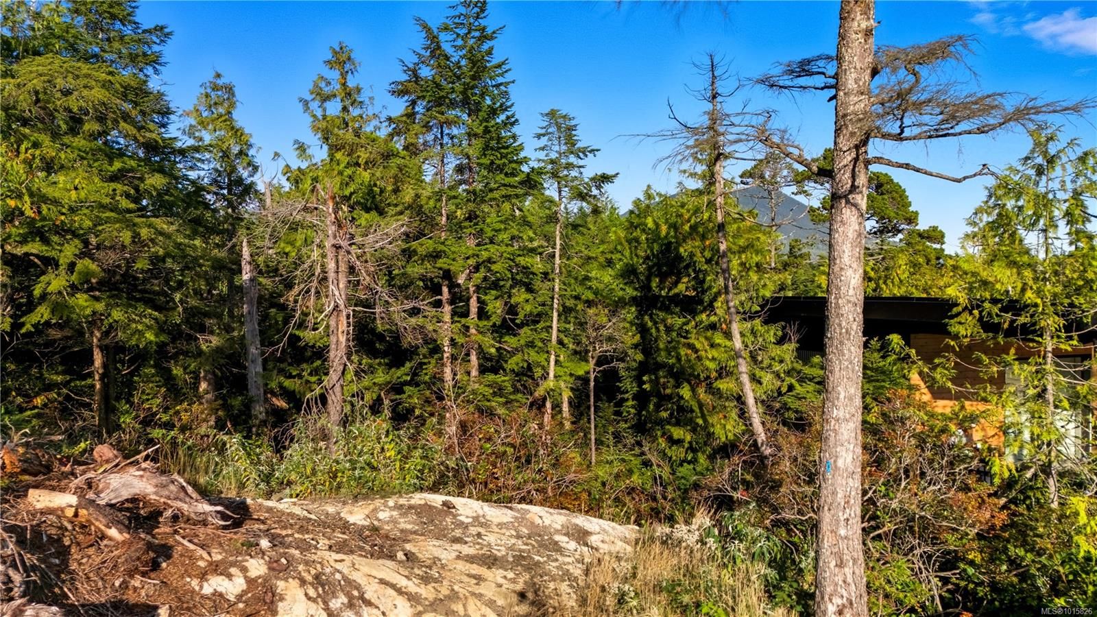 Lot for sale in Ucluelet, 851 Lorne White Pl, 1015826 | Realtylink.org