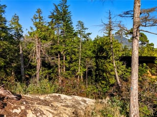Lot for sale in Ucluelet, 851 Lorne White Pl, 1015826 | Realtylink.org