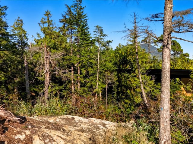 Lot for sale in Ucluelet, 851 Lorne White Pl, 1015826 | Realtylink.org