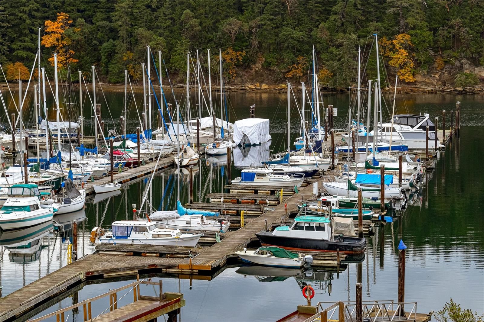 Apartment for sale in Nanaimo, 401 1250 Stewart Ave, 1018242 | Realtylink.org