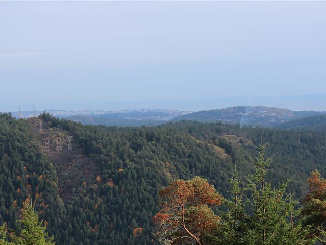 Lot for sale in Shawnigan Lake, Lot 7 Eagle Vista Rd, 1018915 | Realtylink.org