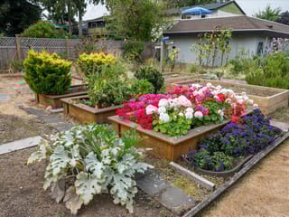 Townhouse for sale in Parksville, 6 219 Bagshaw St, 1020136 | Realtylink.org