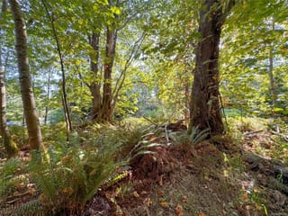 Lot for sale in Gabriola Island, Lot 7 the Strand Blank, 1020586 | Realtylink.org