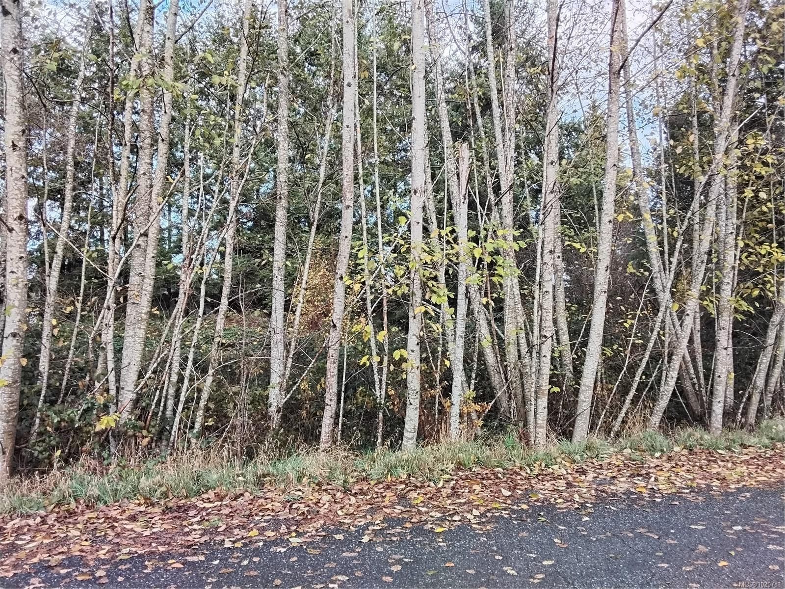 Lot for sale in Courtenay, Lot E Tatton Rd, 1020781 | Realtylink.org