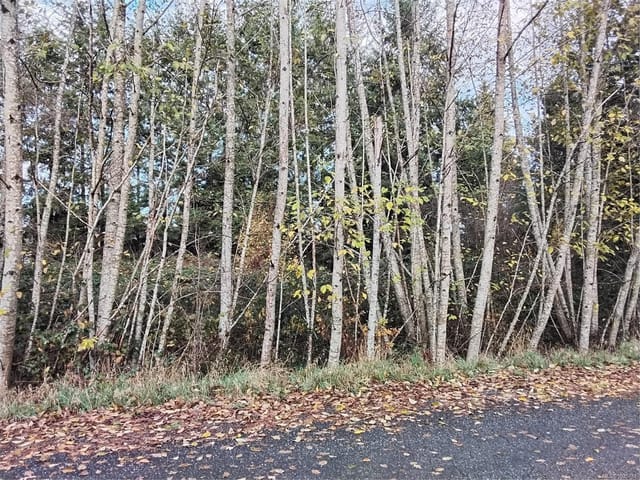 Lot for sale in Courtenay, Lot E Tatton Rd, 1020781 | Realtylink.org