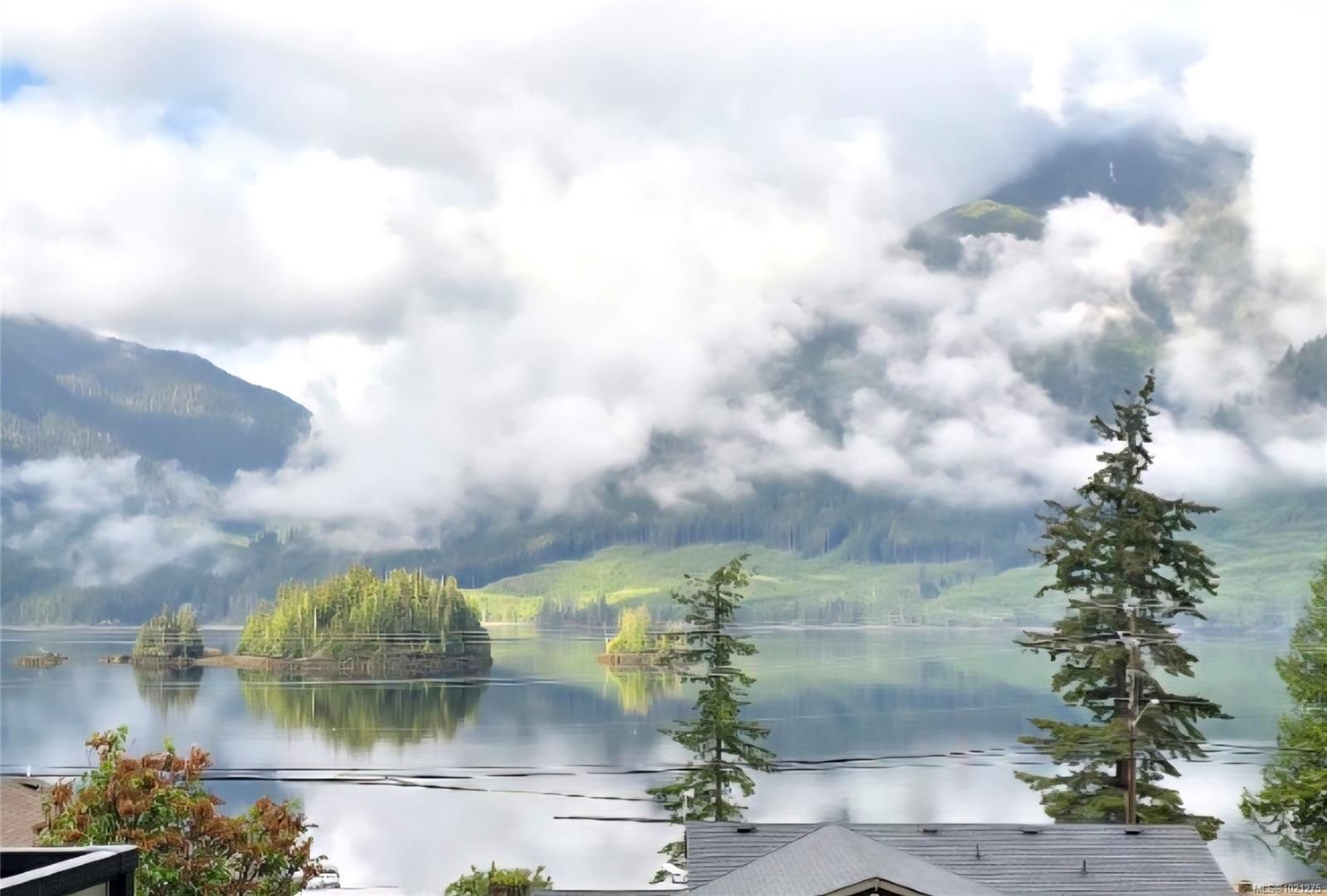 House for sale in Port Alice, 1112 Maquinna Ave, 1021275 | Realtylink.org