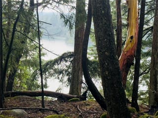 Lot for sale in Mudge Island, 127 Halibut Hill Rd, 1022237 | Realtylink.org