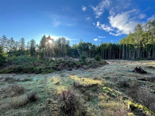 Lot for sale in Ladysmith, Lot 25 Magdalena Dr, 1022865 | Realtylink.org