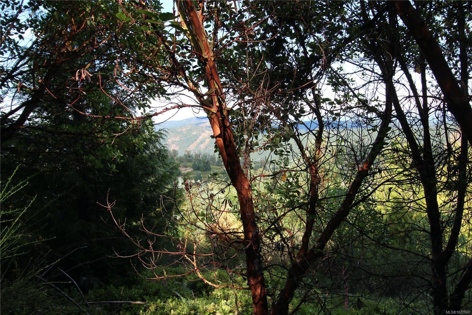 Lot for sale in Shawnigan Lake, Lot 29 Goldstream Heights Dr, 1022960 | Realtylink.org