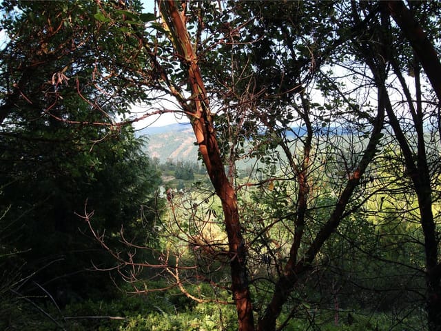 Lot for sale in Shawnigan Lake, Lot 29 Goldstream Heights Dr, 1022960 | Realtylink.org