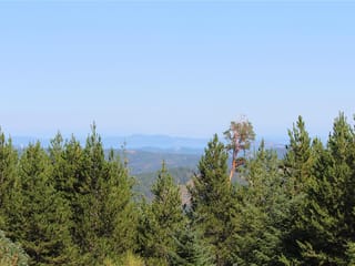 Lot for sale in Shawnigan Lake, Lot 35 Goldstream Heights Dr, 1022963 | Realtylink.org