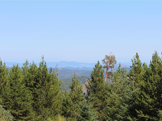 Lot for sale in Shawnigan Lake, Lot 35 Goldstream Heights Dr, 1022963 | Realtylink.org