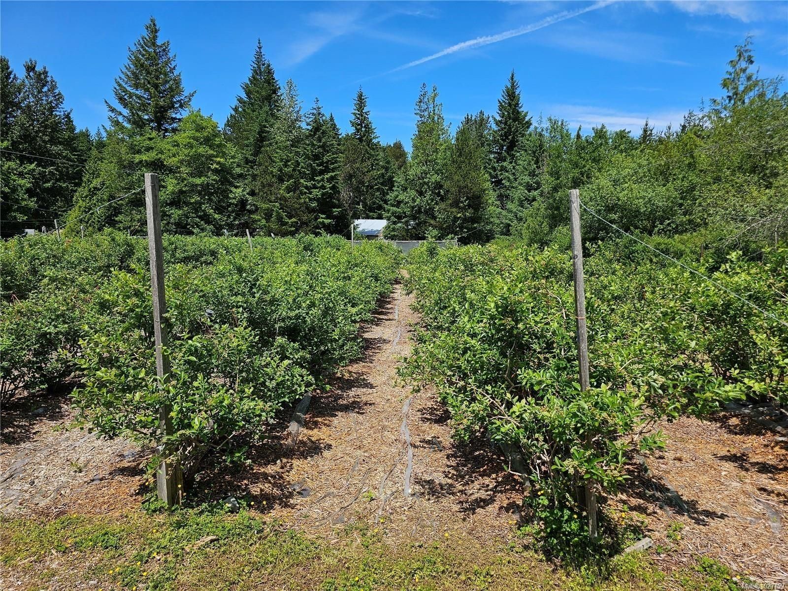 Commercial property for sale in Courtenay, 2156 Coleman Rd, 1023759 | Realtylink.org