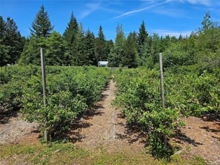 Commercial property for sale in Courtenay, 2156 Coleman Rd, 1023759 | Realtylink.org