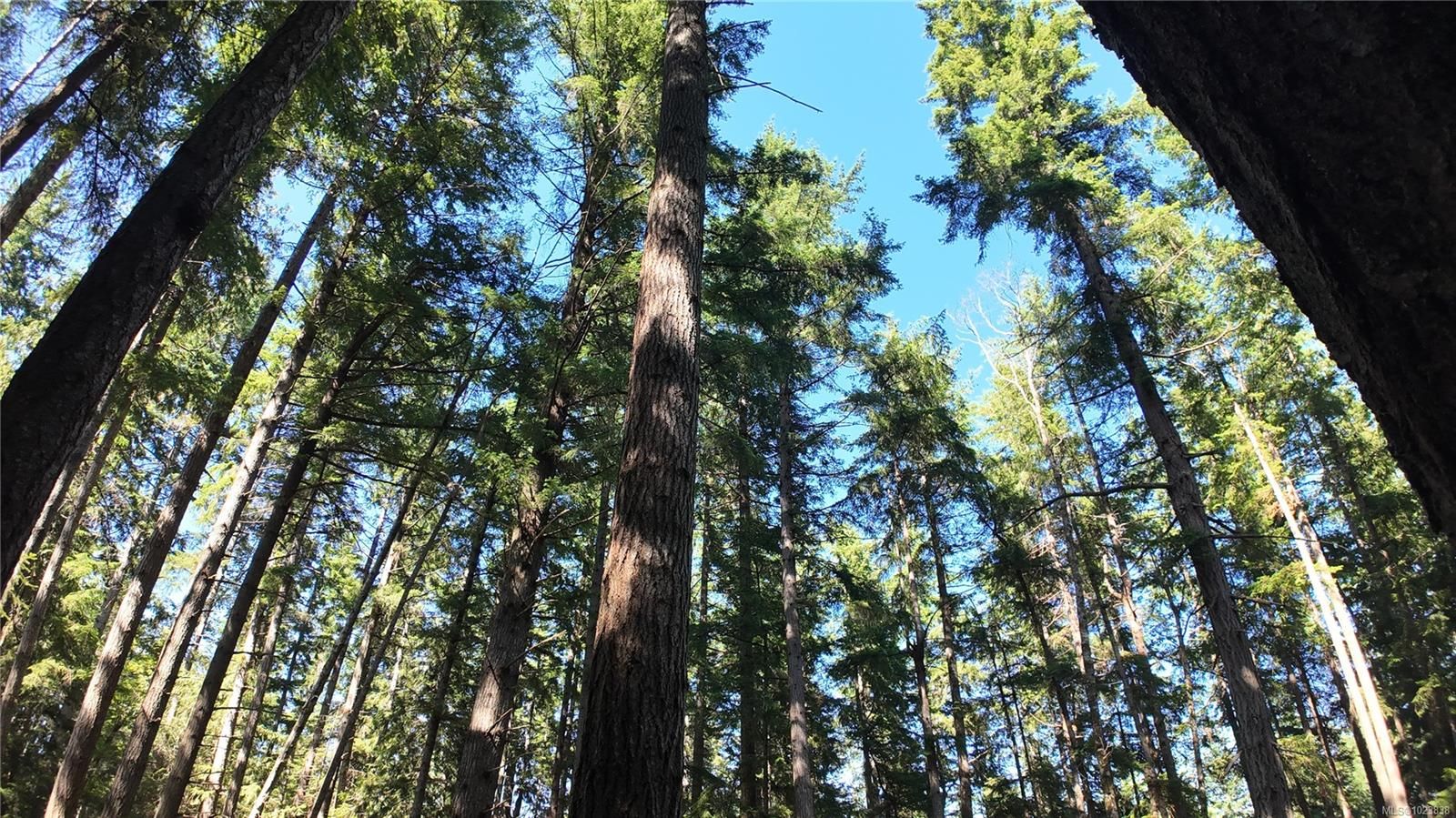 House for sale in Hornby Island, 4480 Strachan Rd, 1023838 | Realtylink.org