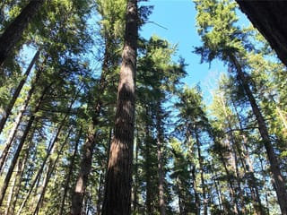 House for sale in Hornby Island, 4480 Strachan Rd, 1023838 | Realtylink.org