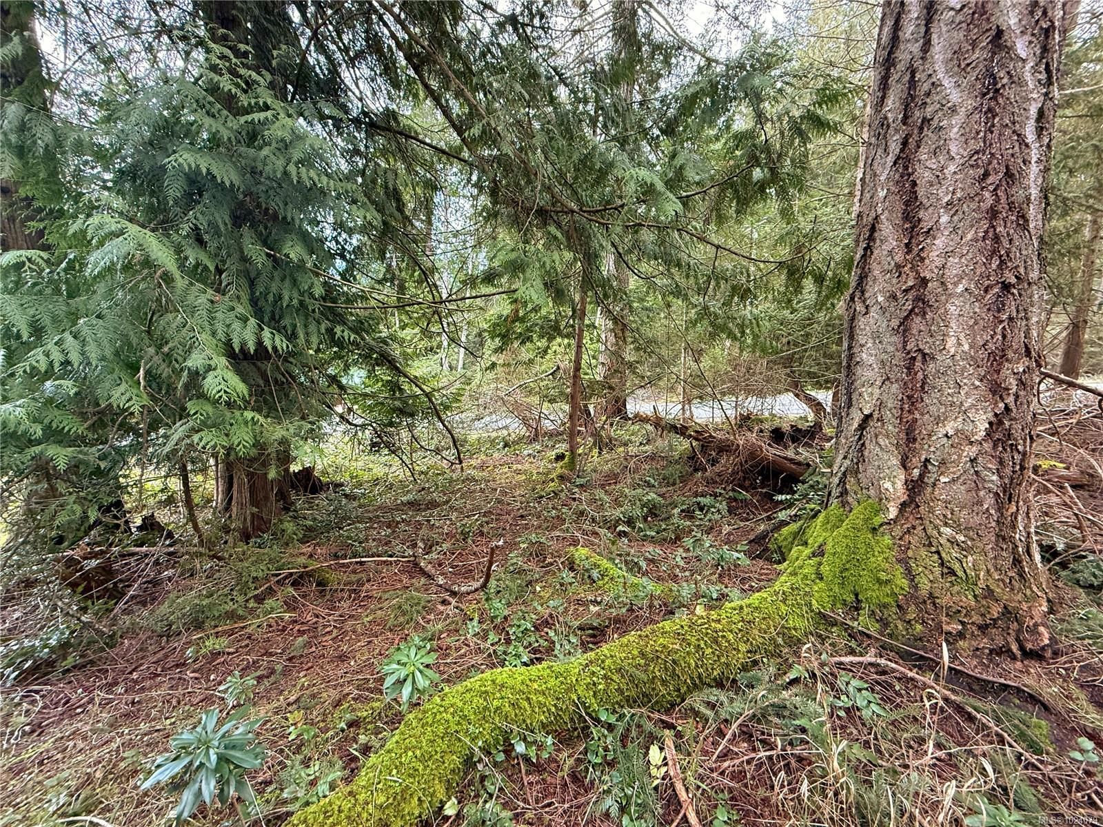 Lot for sale in Gabriola Island, Lt 37 Dirksen Rd, 1024079 | Realtylink.org