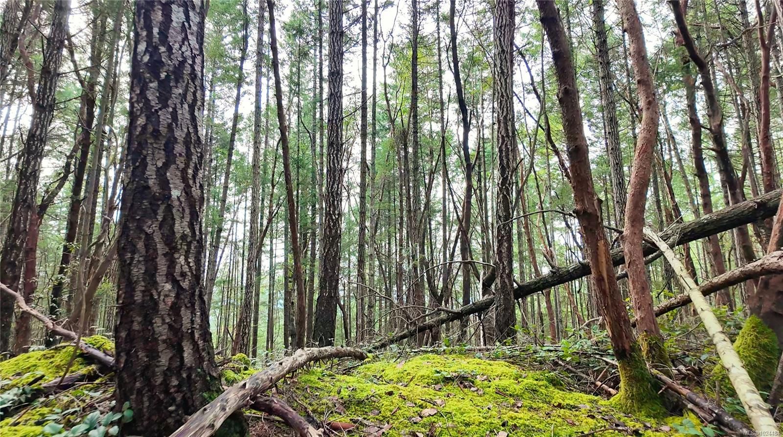 Lot for sale in Gabriola Island, Lt 15 Coats Dr, 1024484 | Realtylink.org