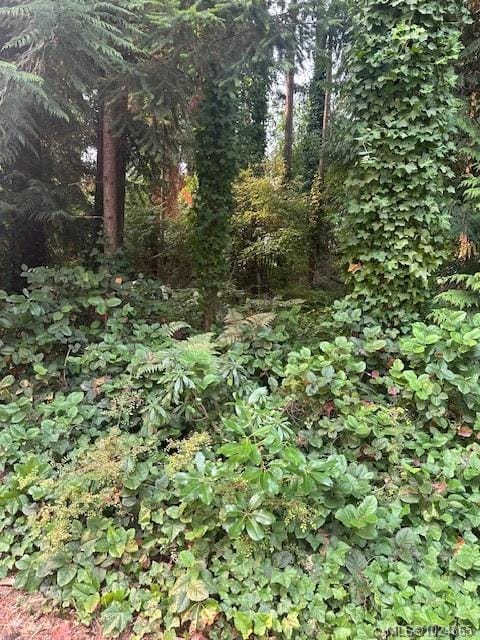 Lot for sale in Qualicum Beach, 156 Harlech Rd, 1024865 | Realtylink.org