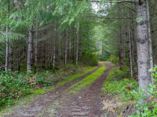 Lot for sale in Nanaimo, Lot 13 Longview Pl, 1025735 | Realtylink.org