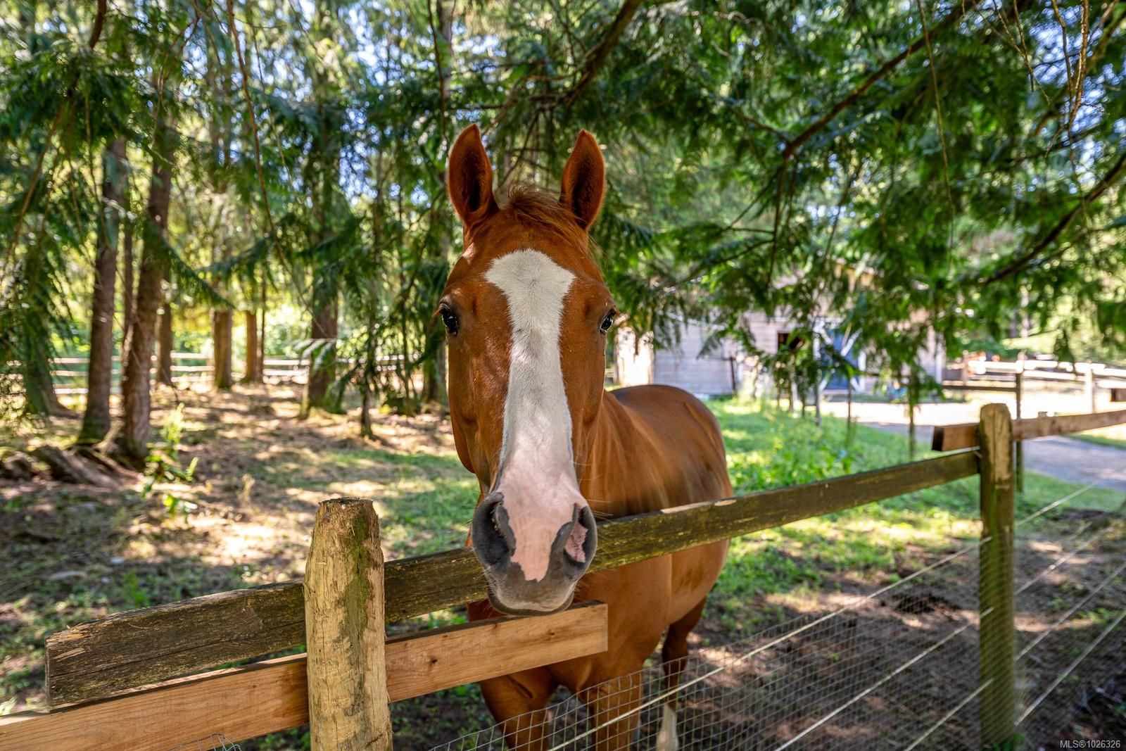 House for sale in Black Creek, 2468 Endall Rd, 1026326 | Realtylink.org