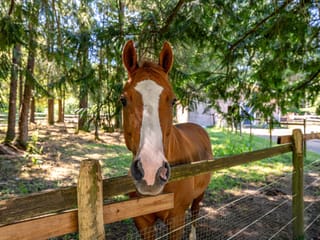 House for sale in Black Creek, 2468 Endall Rd, 1026326 | Realtylink.org