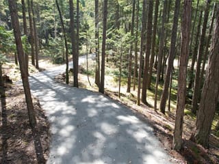 Lot for sale in Gabriola Island, Lt 13 Sitka Grv, 1026810 | Realtylink.org
